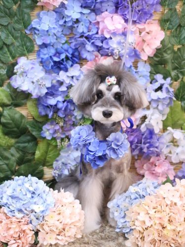 20250612ルナちゃん